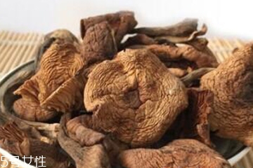 榛蘑和香菇能一起吃嗎？