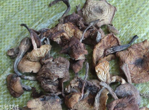 榛蘑能保存多久？干榛蘑怎么保存最好？