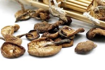 榛蘑可以煲鴨肉嗎？榛蘑可以煲鴨肉
