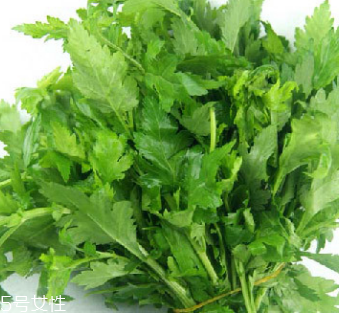 菊花腦是苦的嗎？菊花腦苦不苦？