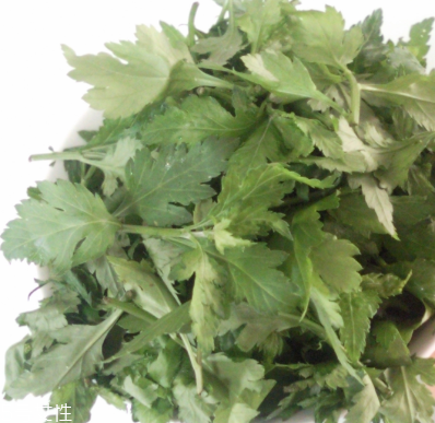 菊花腦怎么挑選？菊花腦選購技法