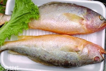 黃花魚是發(fā)物嗎？黃花魚是涼性的嗎？