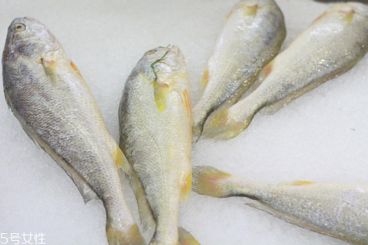 黃花魚清蒸多長時(shí)間？黃花魚清蒸的做法