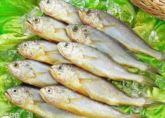 黃花魚(yú)去鱗嗎？黃花魚(yú)去內(nèi)臟嗎？