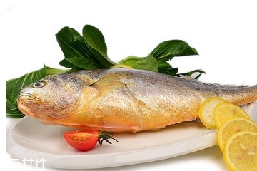 黃花魚為什么都是死的？死黃花魚可以吃嗎？