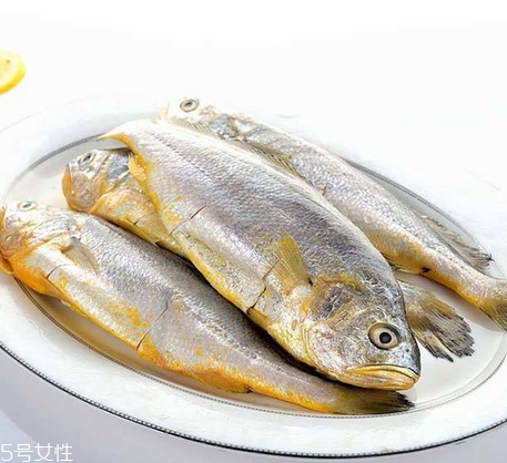 黃花魚為什么都是死的？死黃花魚可以吃嗎？