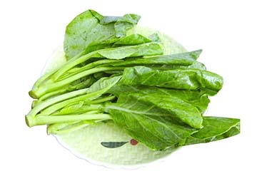 芥蘭是中藥還是蔬菜？芥蘭是蔬菜嗎？
