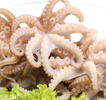 章魚是什么顏色？章魚是什么樣子？