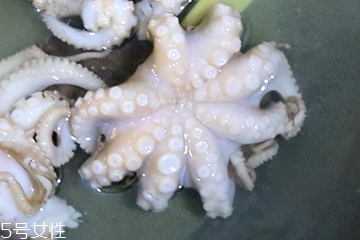 章魚會噴墨汁嗎？章魚的墨汁能吃嗎？