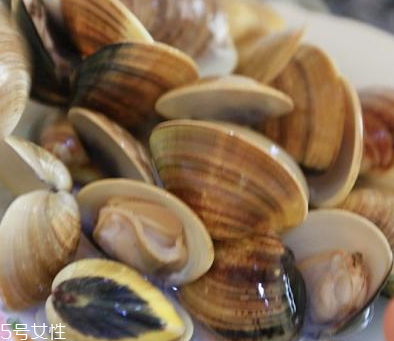 文蛤是海鮮還是河鮮？文蛤是海鮮嗎？