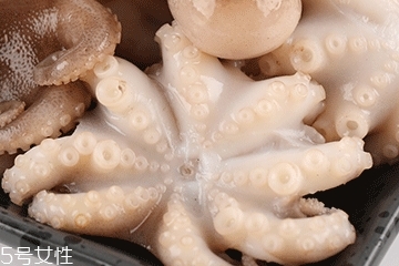 章魚可以炸嗎？章魚能油炸嗎？