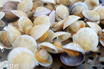 文蛤是淡水還是海水？文蛤是淡水水產(chǎn)嗎？