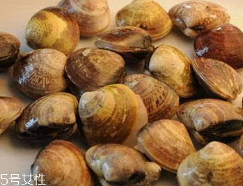 文蛤是冷水煮還是熱水？文蛤是用熱水嗎？