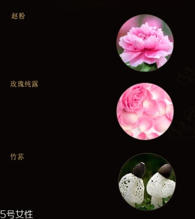 雙妹玉容眼霜怎么樣？雙妹玉容眼霜價格