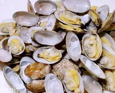 文蛤能做湯嗎？文蛤怎么做湯？