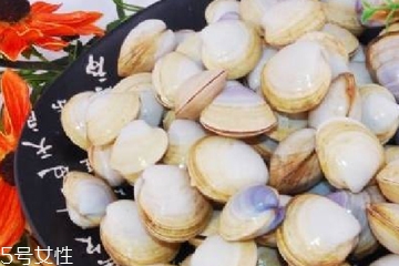 文蛤能放在冰箱里嗎?文蛤怎么保存？