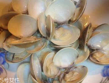 文蛤能給孕婦吃嗎？孕婦能不能吃文蛤？