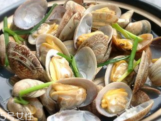 文蛤的養(yǎng)殖 文蛤怎么養(yǎng)？