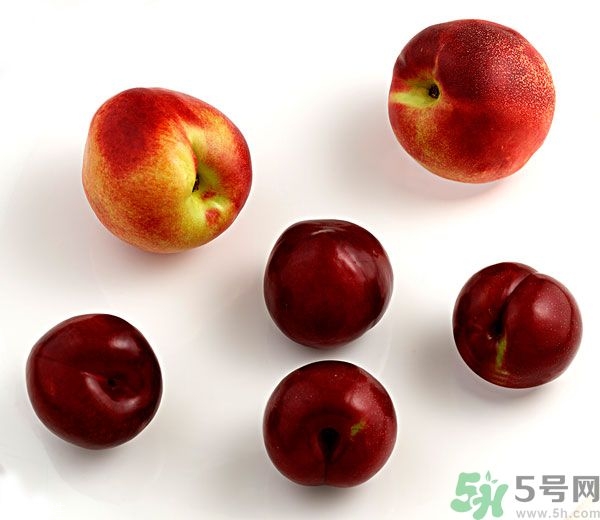 李子和灰子的區(qū)別？灰子的功效與作用