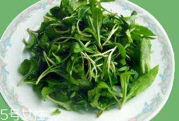 馬蘭頭對人的好處？馬蘭頭有什么好處？