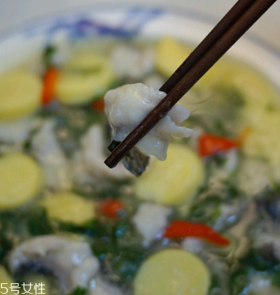 馬蘭頭可以煮魚湯嗎？馬蘭頭怎么煮魚湯