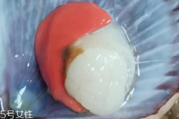 扇貝肉哪里不能吃？扇貝的月牙紅可以吃嗎？