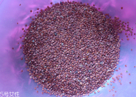 海藻面膜的功效與作用 用海藻面膜有什么好處？