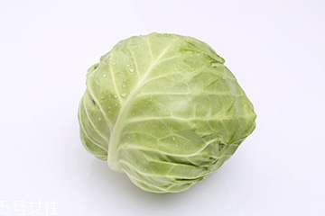 牛心菜是包菜嗎？牛心菜和包菜的區(qū)別
