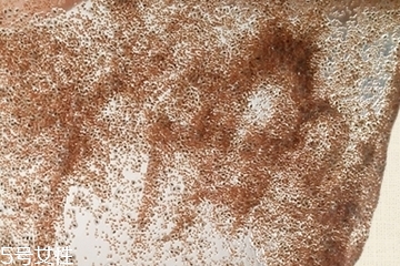 海藻面膜會發(fā)芽嗎？真的海藻面膜會發(fā)芽嗎？