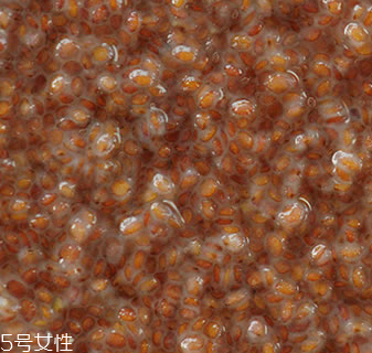 海藻面膜能加蜂蜜嗎？蜂蜜和海藻做面膜好嗎？