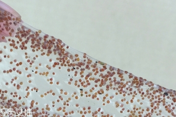 海藻面膜可以加維生素e嗎？海藻加維生素e可以用嗎？