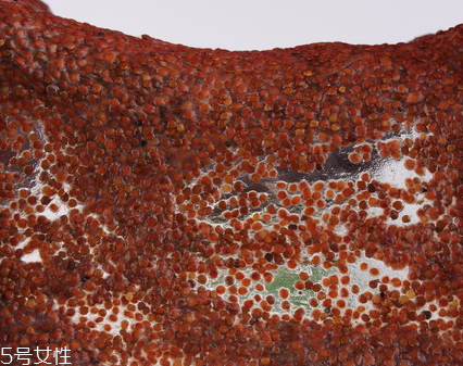 海藻面膜為什么會出膠？海藻面膜的膠是什么？