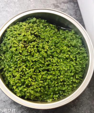 海藻面膜為什么會出膠？海藻面膜的膠是什么？