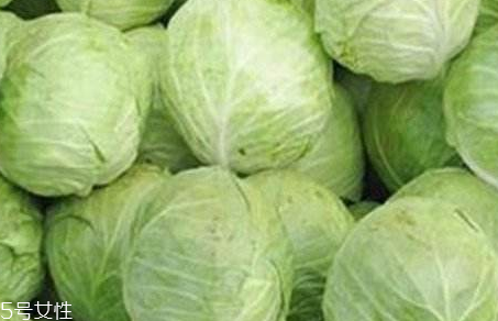牛心菜是寒性還是熱性？牛心菜是寒性的嗎？