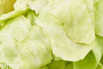 牛心菜是寒性還是熱性？牛心菜是寒性的嗎？