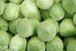 牛心菜和紫甘藍的區(qū)別 牛心菜和紫甘藍怎么分辨？