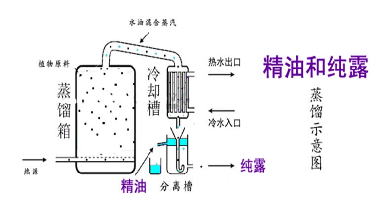 純露怎么濕敷效果好？純露濕敷的正確步驟