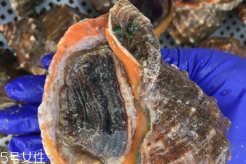 海螺開水還是冷水下鍋？海螺冷水還是熱水煮？