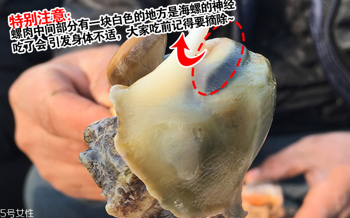 海螺會(huì)中毒嗎？吃海螺中毒多久會(huì)緩解？