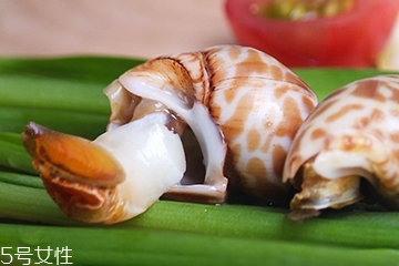 海螺能和西瓜一起吃嗎？海螺和西瓜能同食嗎？