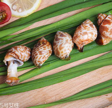 海螺能和西瓜一起吃嗎？海螺和西瓜能同食嗎？