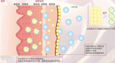 頑固痘痘怎么消除？油皮為什么反復(fù)爆痘？