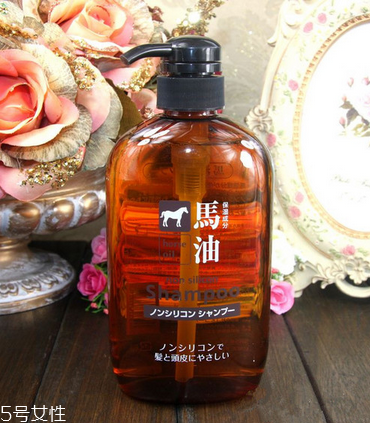 馬油洗發(fā)水是無硅油嗎？馬油洗發(fā)水是無硅油洗發(fā)水嗎？