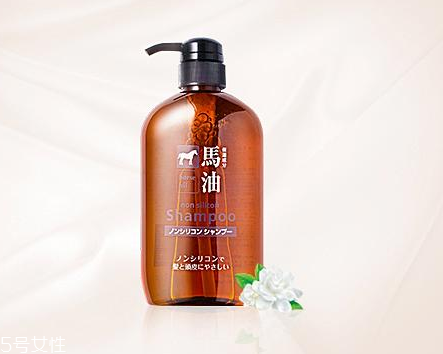 馬油洗發(fā)水是哪里產(chǎn)的？馬油洗發(fā)水是哪國的？