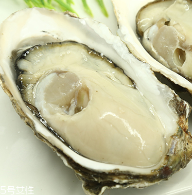生蠔是蒸還是煮？生蠔蒸好吃還是煮好吃？