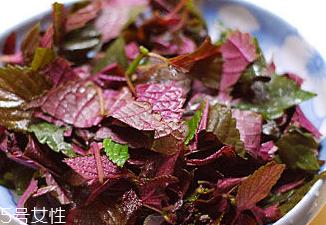 紫蘇葉能治皮膚過敏嗎？