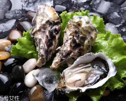 生蠔每天吃幾個最好？生蠔每日最佳食用量
