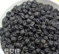 刺五加怎么吃？刺五加有什么用？