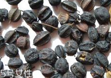刺五加怎么吃？刺五加有什么用？