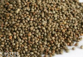 紫蘇子有毒嗎 使用過量會(huì)產(chǎn)生輕微毒素